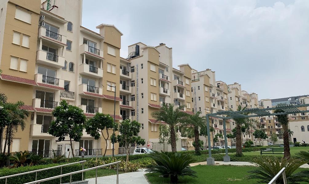 Emerald Floors Premier project image 1