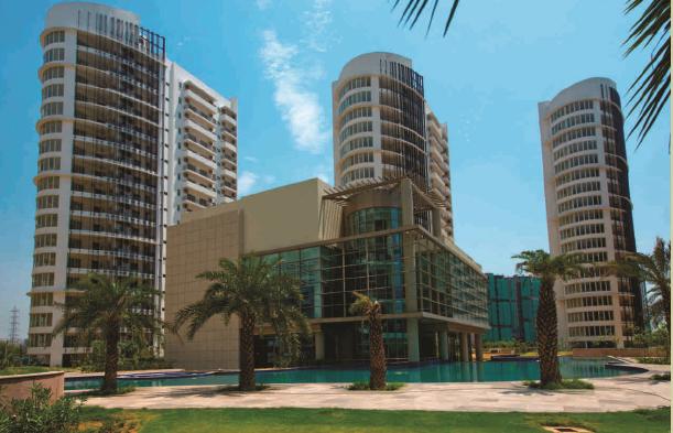 The Palm Drive project image 1